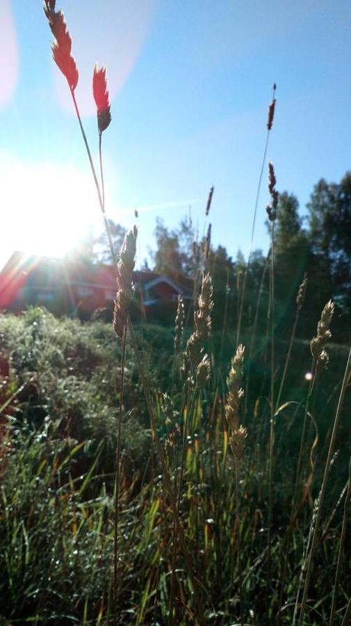 Grindhammaren B&B Ramsberg Dış mekan fotoğraf